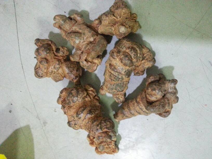 打蜡的三七怎么洗掉