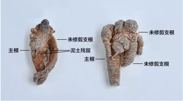 三七剪口好还是滑头好