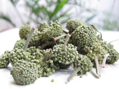 三七花放十年能喝吗
