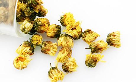 三七花和胎菊能同时服用吗