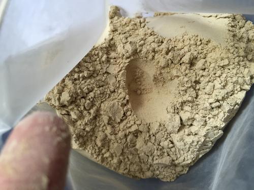 三七粉有霉味了怎么办
