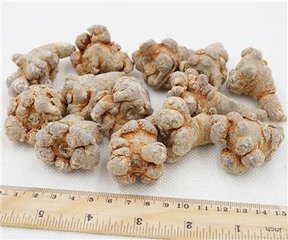 竹节三七是三七吗