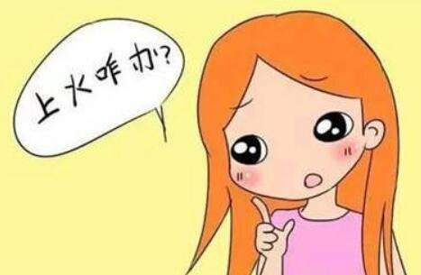 为什么有人吃三七粉会上火？