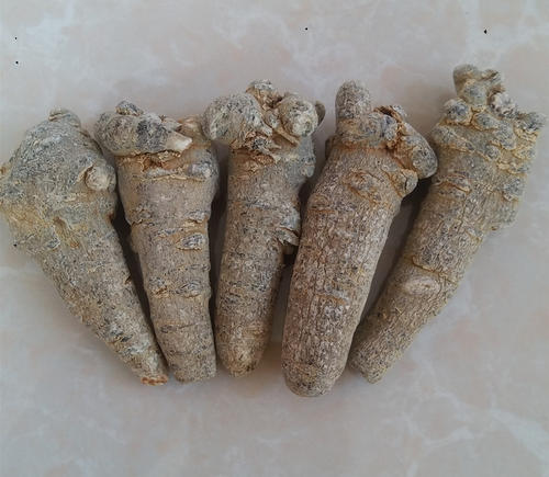 三七上的红泥需要洗吗