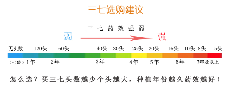 8头三七和10头三七哪个好