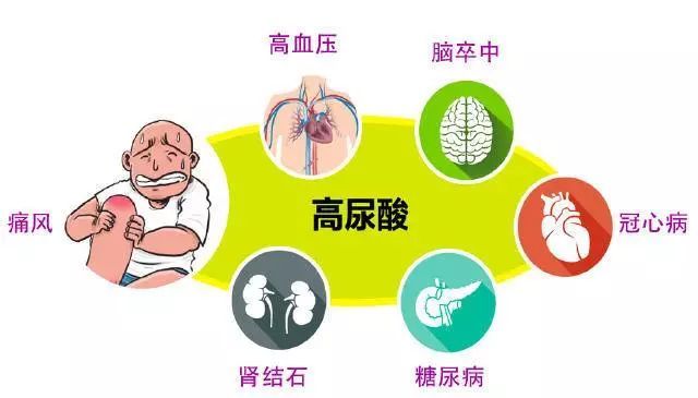 高血压、糖尿病、冠心病等怎么吃三七粉