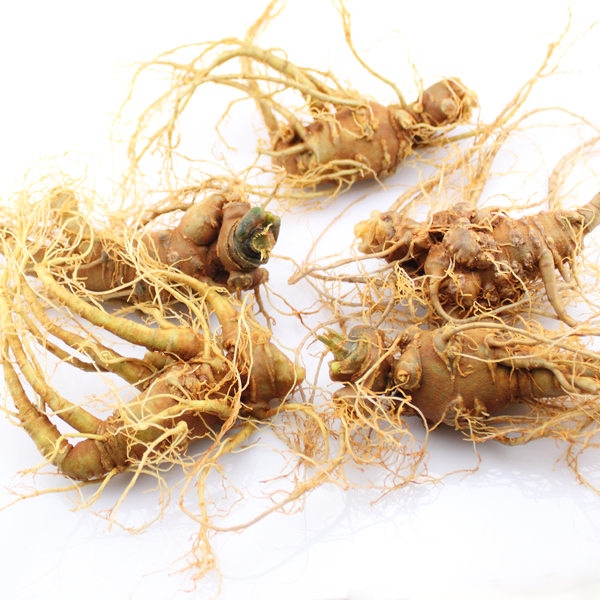 文山三七根食用方法怎么吃