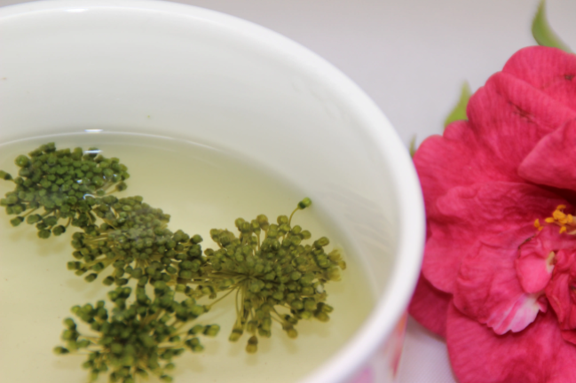 三七花食用方法大全