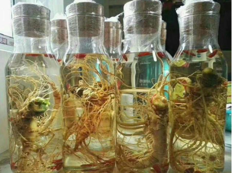 三七根须的正确吃法