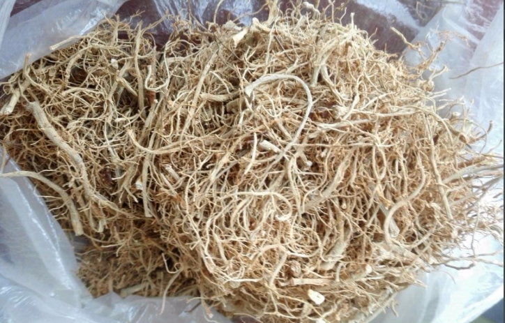 三七根炖鸡怎么做？做法竟如此简单