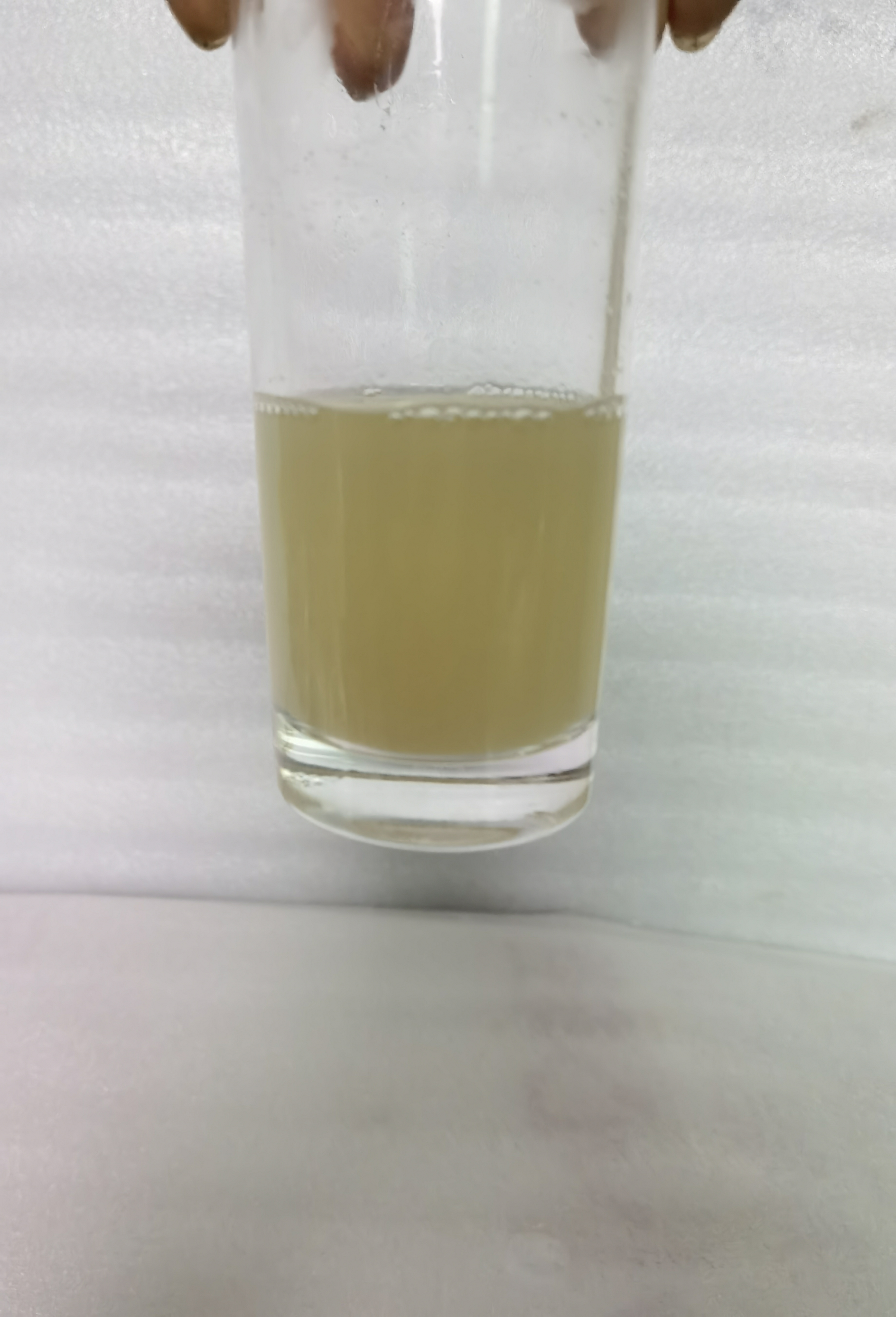 田七最佳食用方法