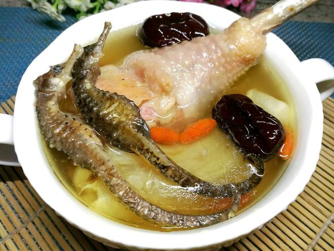 海马田七的功效与作用及食用方法