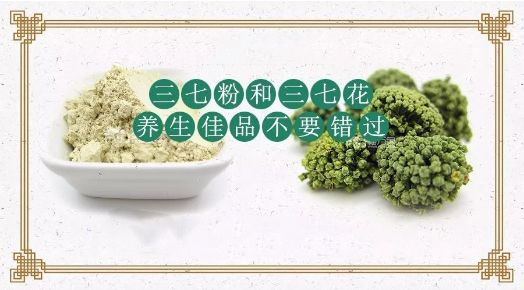 三七花泡水喝的6大功效和7项注意事项