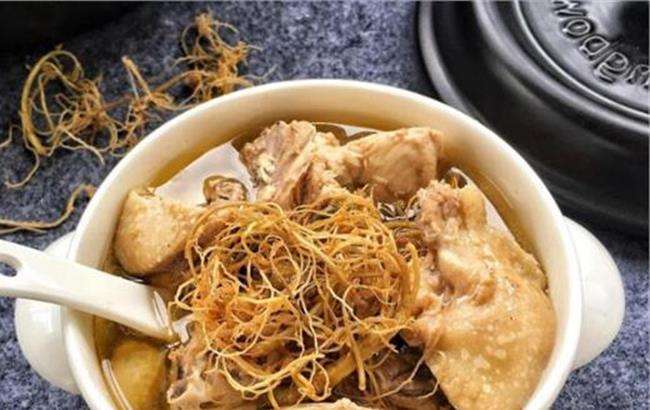 三七炖鸡的功效与作用及做法