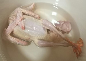 田七鸽子汤的功效与作用及做法