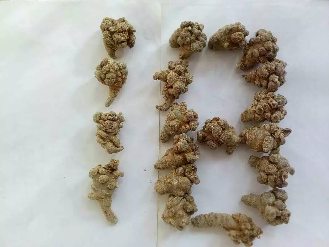 18头三七粉