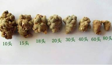 有10头三七吗？10头三七价格1000以上