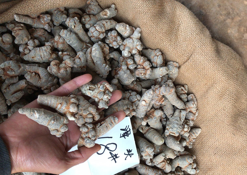 文山三七18头多少钱一斤？2023年的
