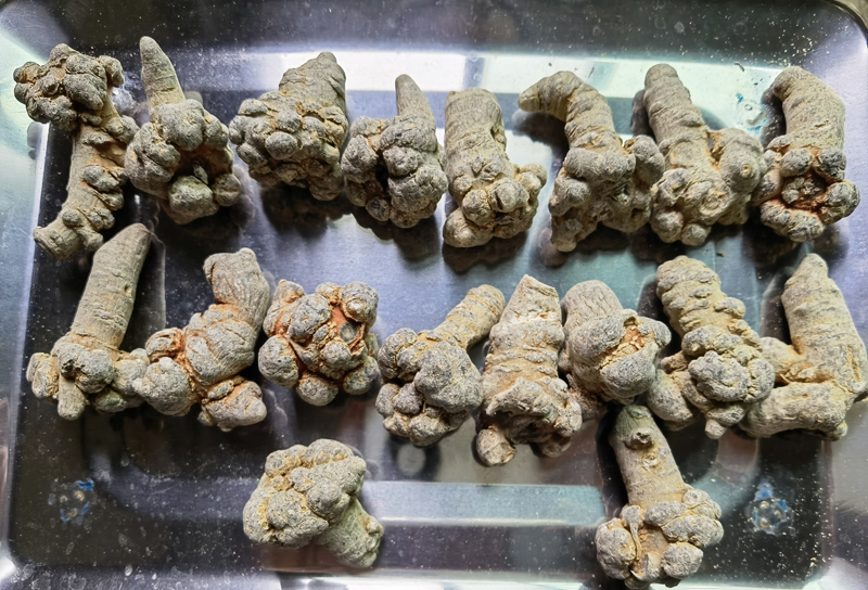 18头三七属于什么档次？