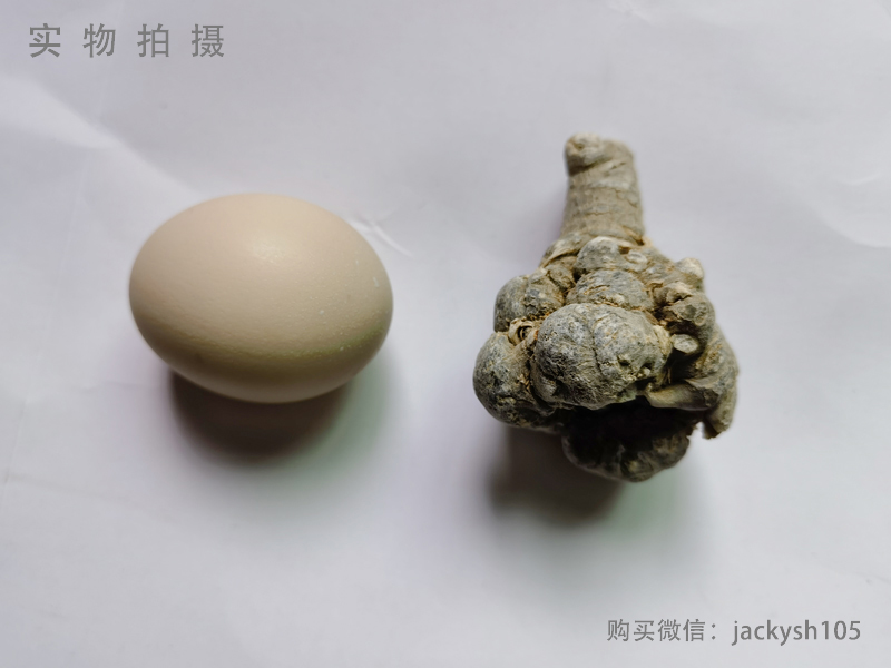 10头三七是几年生长的？现在价格多少钱？