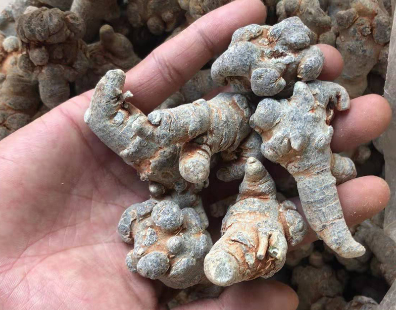 香格里拉等旅游区4元一克的三七贵吗？