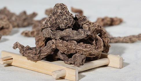 最贵的野生三七价格多少钱一斤/一克
