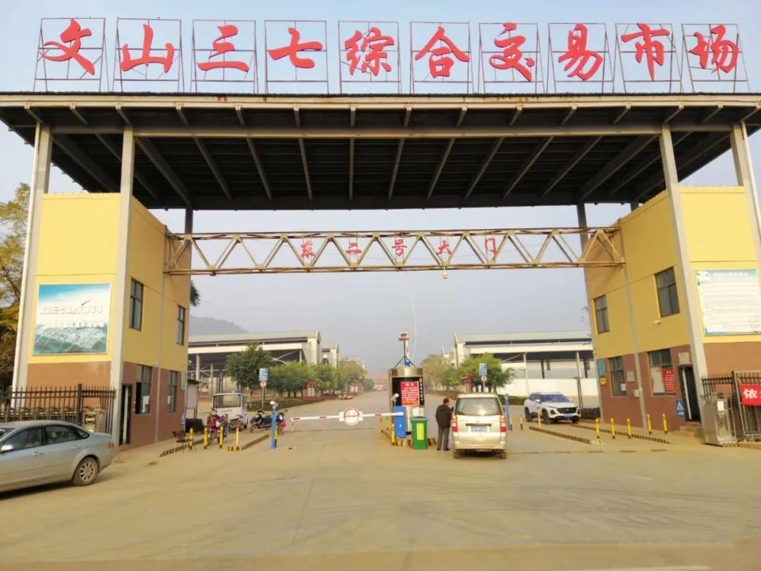 2020年经历疫情三七会不会涨价