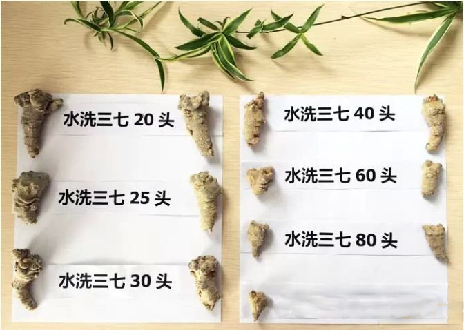 三七50头是什么意思？价格多少钱一斤？