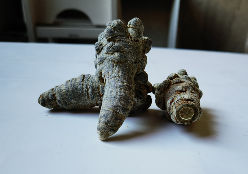 进入2026年三七价格如何？