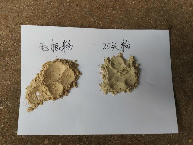 三七粉好坏鉴别方法