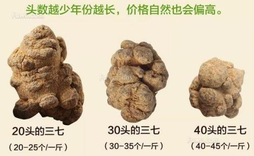 怎么选择三七