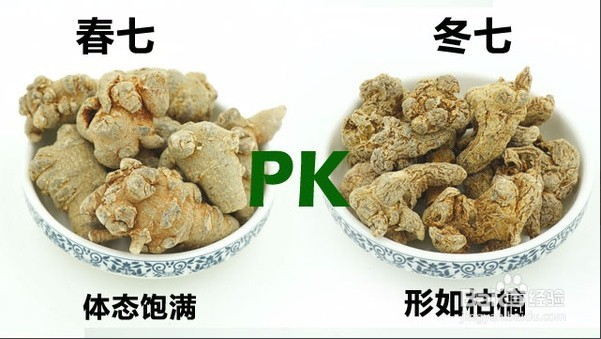 百元不到的三七粉骗局曝光！