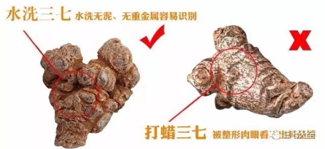文山三七头数的挑选方法