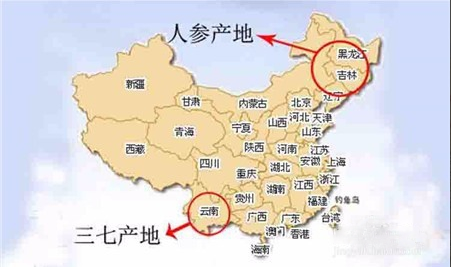 三七和人参的主要区别，有3大不同点