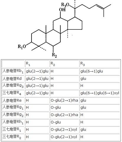 三七总皂苷与三七粉的区别