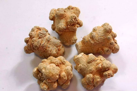 土三七和三七的区别，带图片鉴别