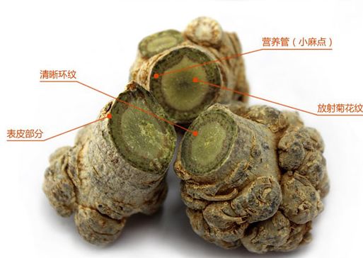 三七坚硬如石是不是正宗三七？