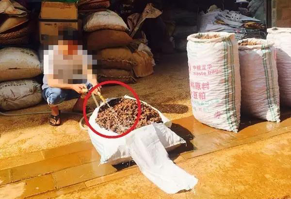买文山三七的陷阱：盘点三七10种造假手段及鉴别方法