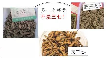 买文山三七的陷阱：盘点三七10种造假手段及鉴别方法
