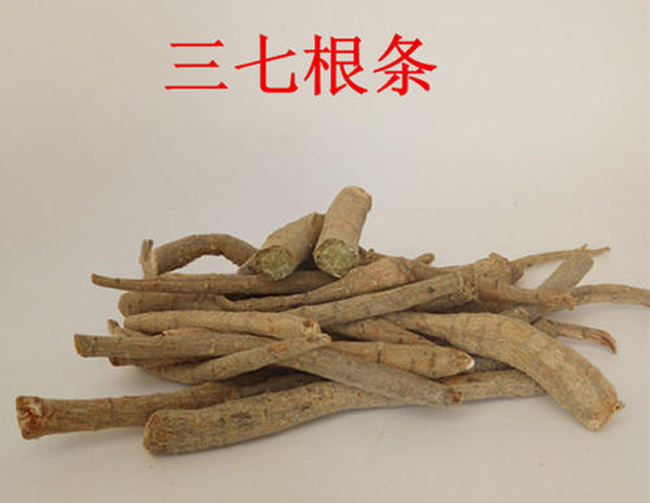 三七筋条的鉴别方法