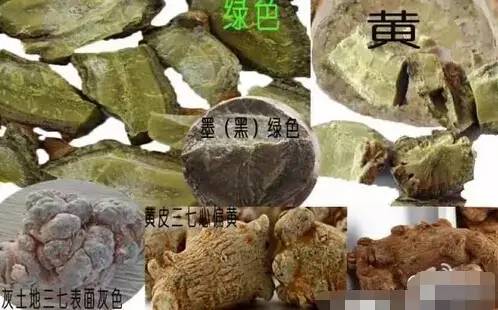 红色三七和白色三七的区别