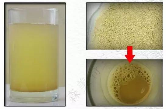 纯正三七粉真假辨别方法