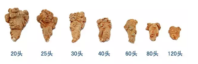 三七20头40头60头区别