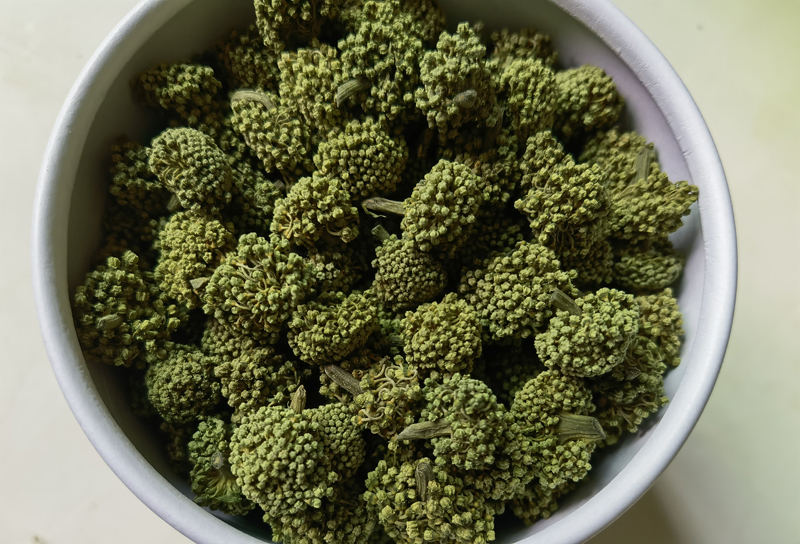什么样的三七花质量最好