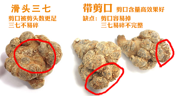 三七20头芦头滑头狮子头萝卜头都代表什么？如何区分