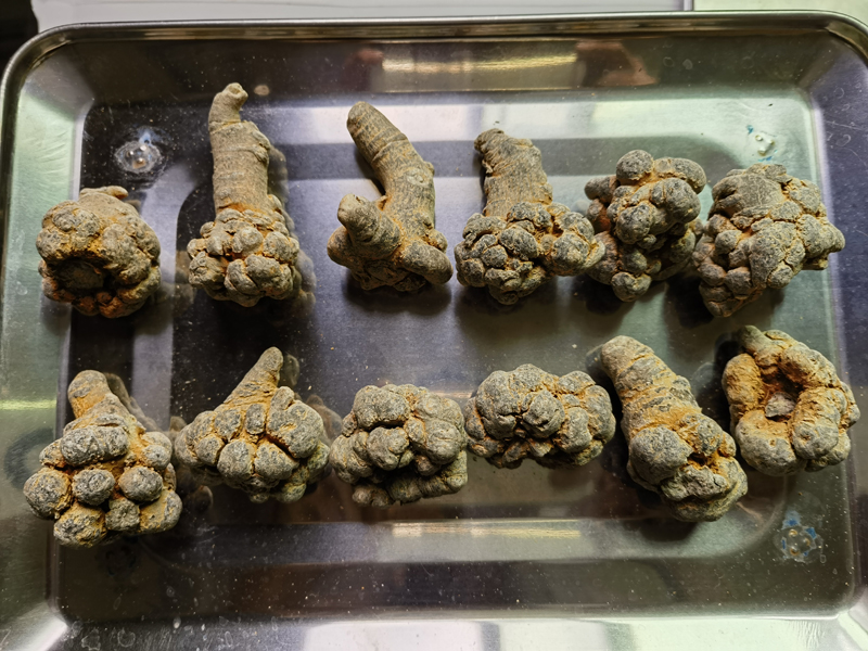 三七8头10头12头的区别