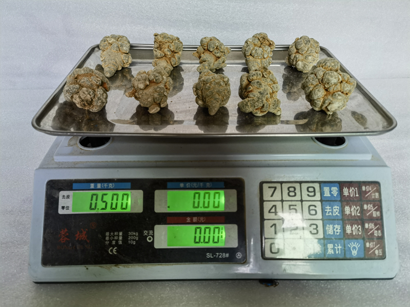 三七8头10头12头的区别