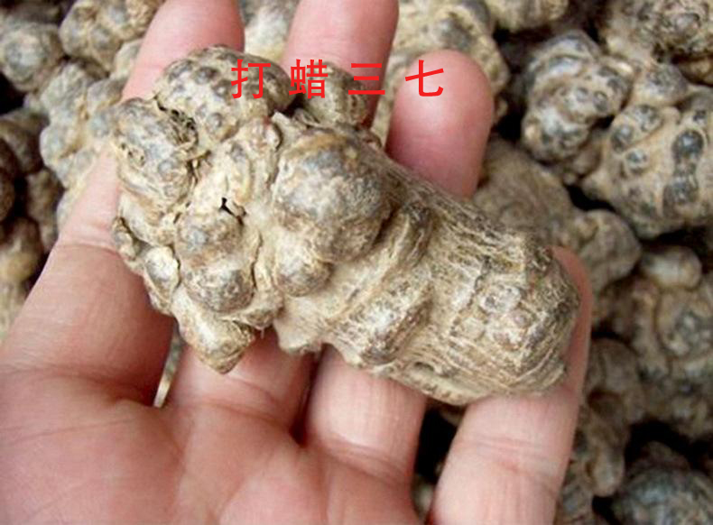 如何判断三七的质量？