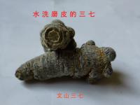 如何判断三七的质量？