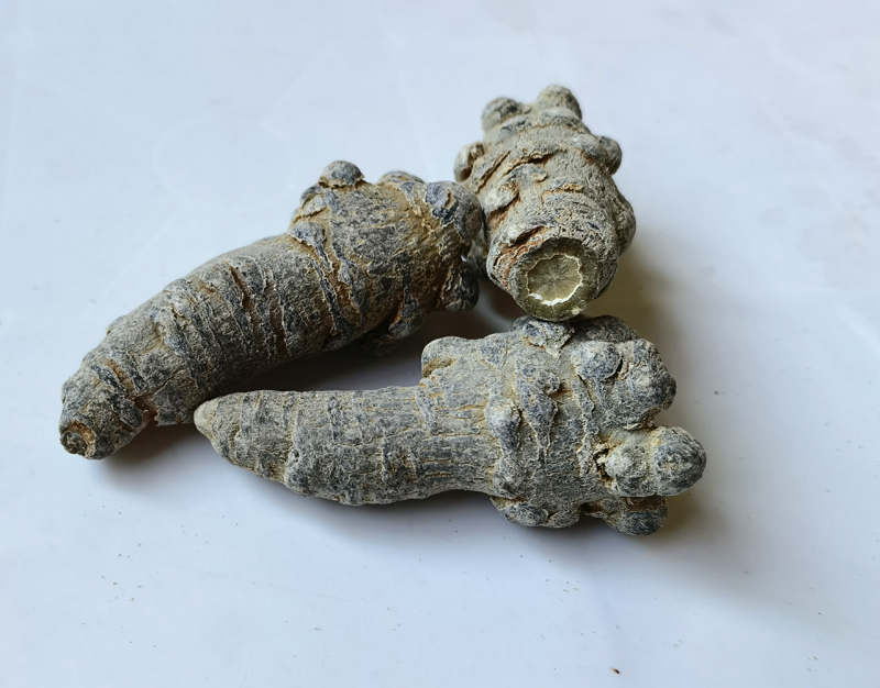 春三七好还是冬三七好？来看区别